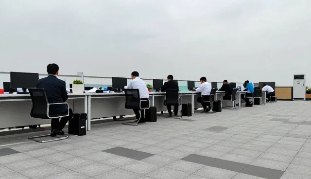 项目执行中财税合规咨询的关键性能分析