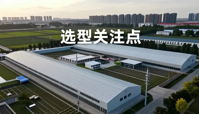 市场调研中管理问题的识别与应对策略